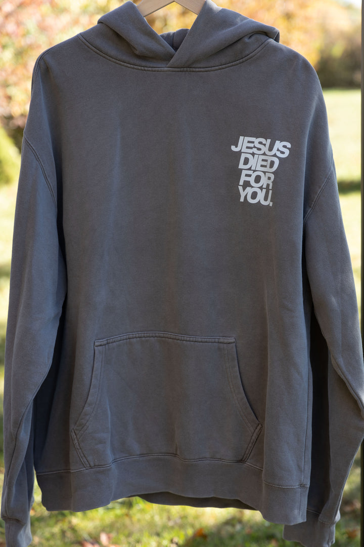 Jesus Died for You Hoodie gray front full